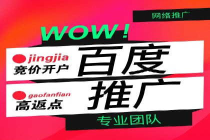 百度竞价广告案例：精准营销效果显著